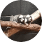 Mark Mathews's profile photo from Google Reviews for Tricity Auto, a trusted used cars dealership in Waterloo, ON
